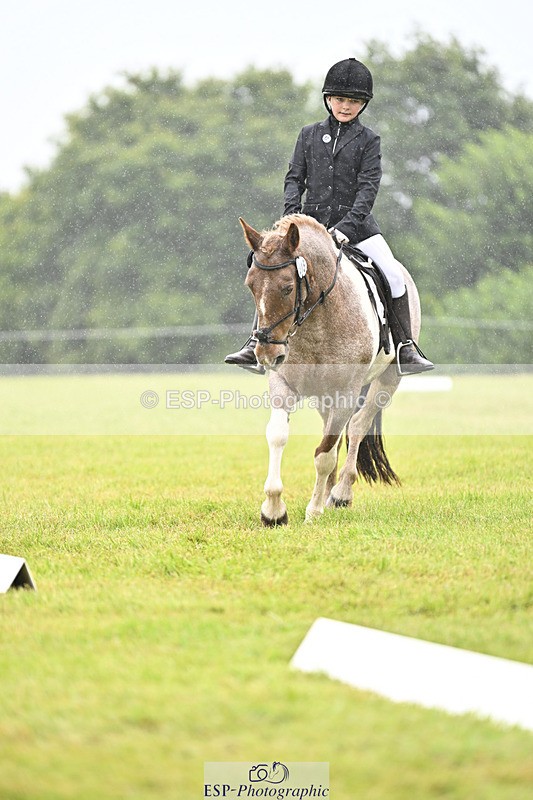 240824X-100852-21534 - D70 Section A and B 9.30 to 10.40