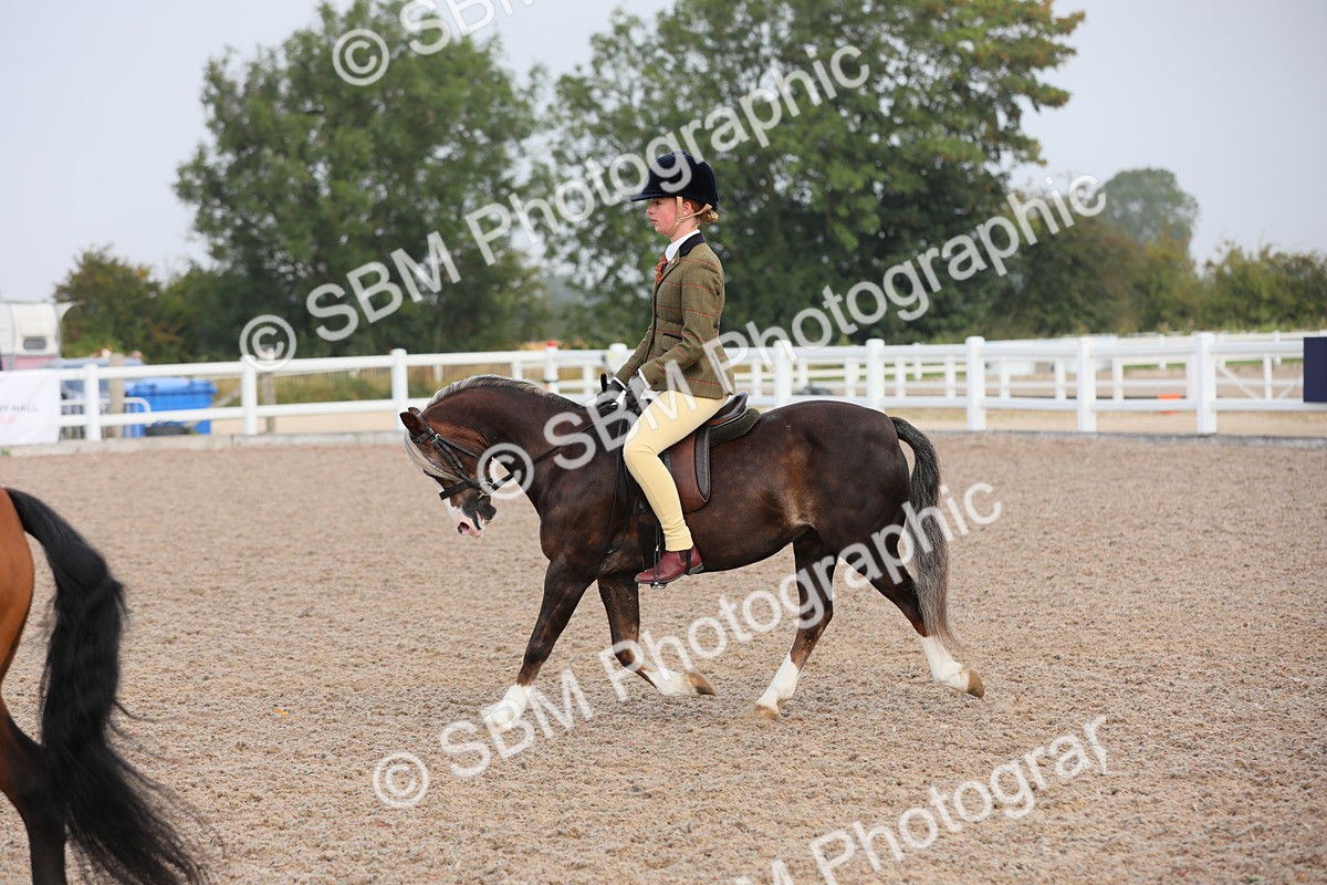 SBM_09626 - Class 301 Ridden M&M -Small Breeds