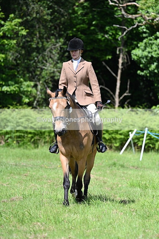 WJ7_1168 - Class 11 Condition & Turnout