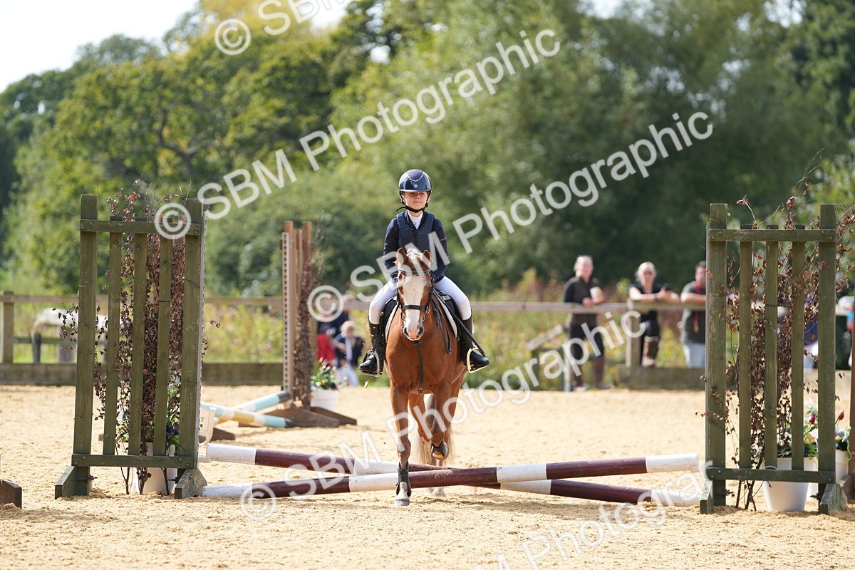 SBM_65795 - J2 - Mini Tour Junior Pony 30cm Championship