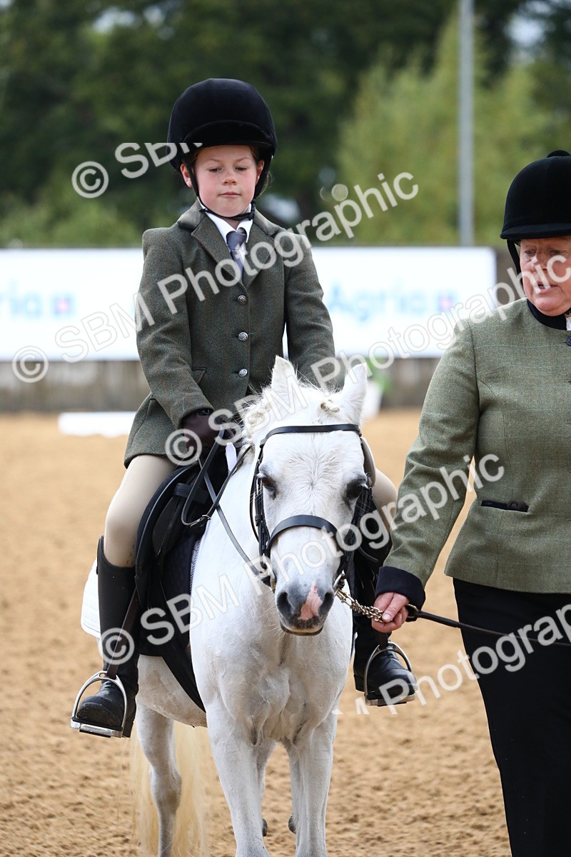 SBM_34538 - D26 - Starters Lead Rein