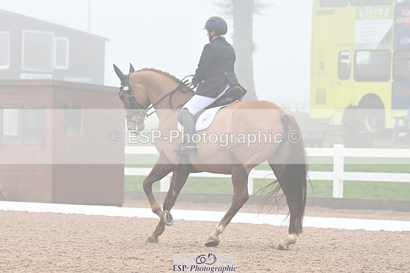 240217A-135153-03490 - 259-Claire.Speer-Joyful.Optimism