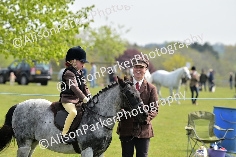 20260426-2310 - Class 20 - Beginner Working Hunter