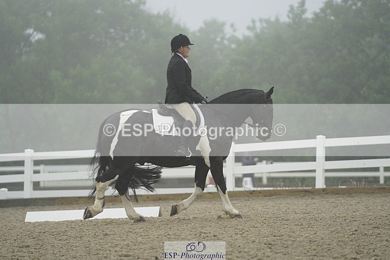 230708A-150816-03985 - Prelim 18