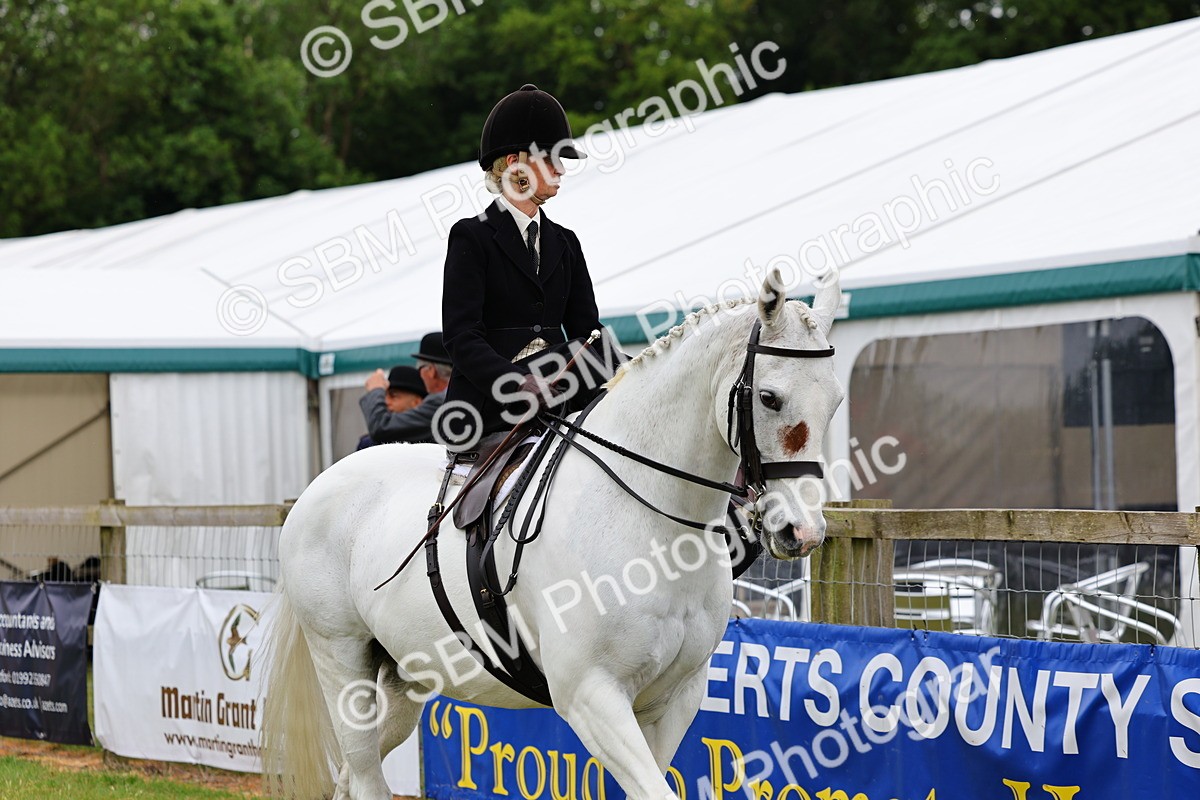 SBM_02916 - Class 9-11 Side Saddle including LIHS Rising Star Ladies Show Horse