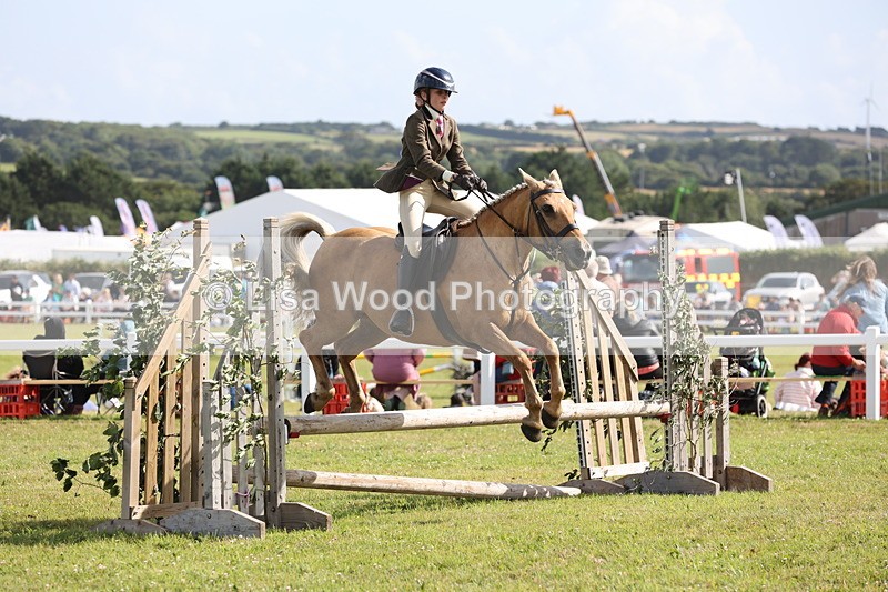 JPP_2704 - Class 20: Working Hunter 70cm