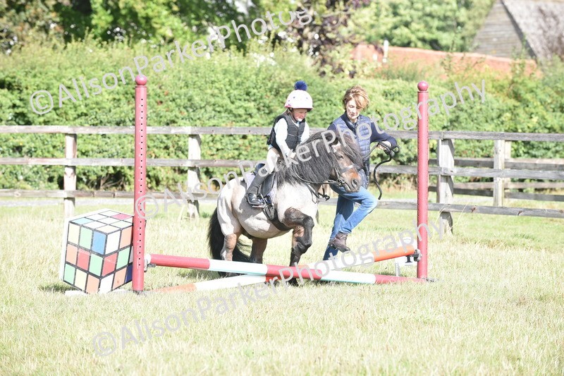 20250831-0371 - Class 6 - Minimus Jumping 30cm