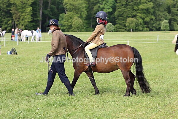 IMG_2270 - Working Hunter