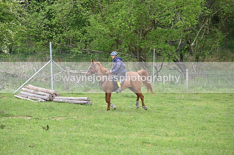 WJ6_3214 - A camera