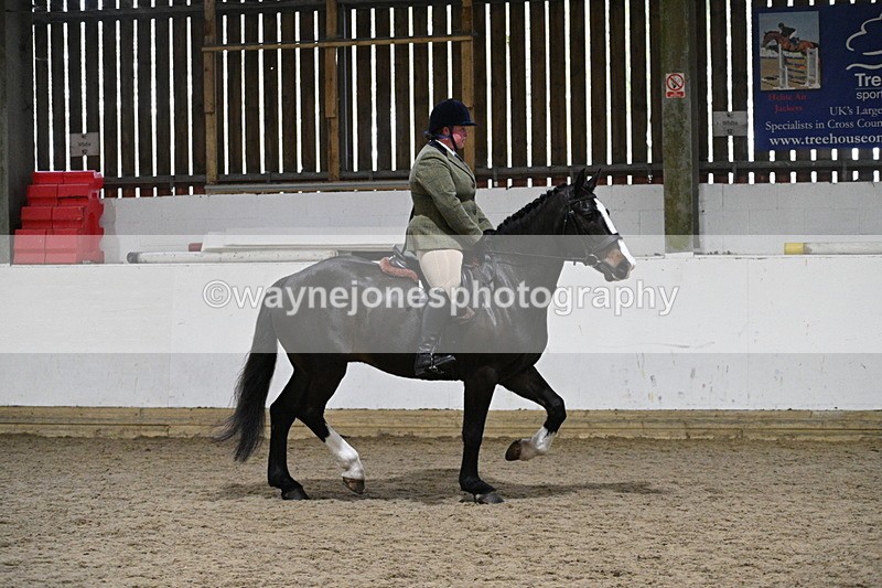 WJ7_3934 - Class 17 Ridden Cob
