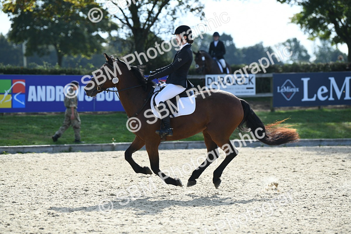 SBM_61576 - j25 - Junior Horse 80cm Championship