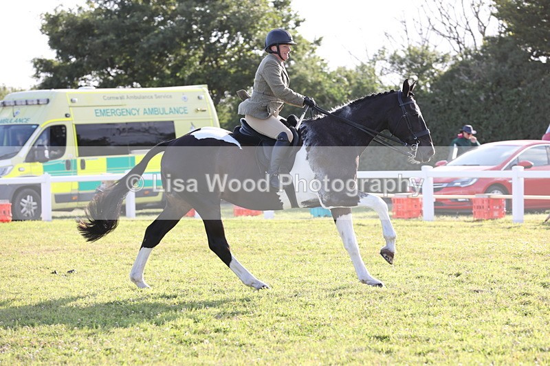 JPP_3464 - Class 22: Working Hunter 90cm