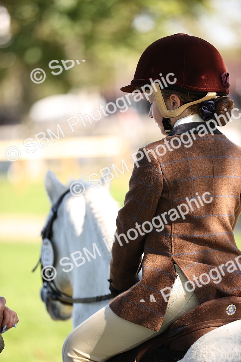 SBM_19346 - S3 - TSR Ridden Pony Showing