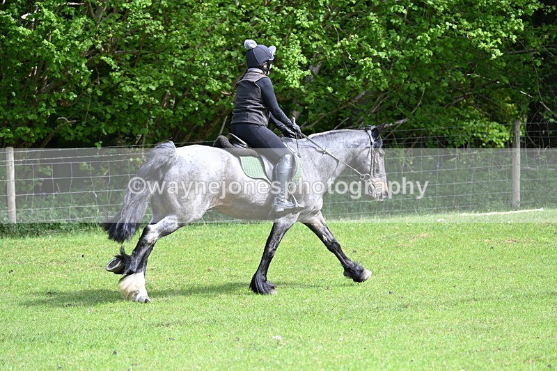 WJ7_2085 - Group 2 A&B Cameras