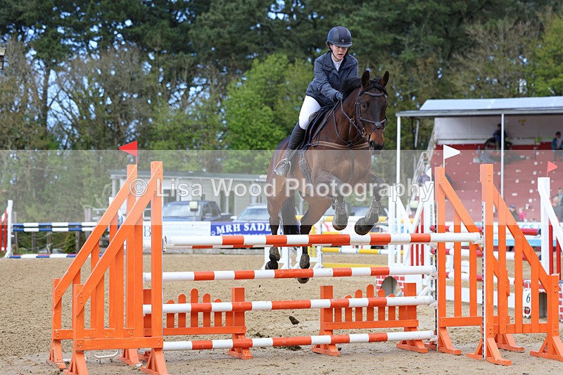 3E7A2067 - Class 8: Senior Foxhunter/1.20 open