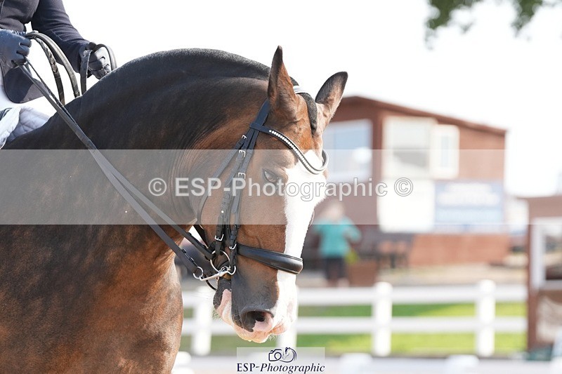 250817-100220-08233 - 134-Abby.HayesRathnagrew.Pride