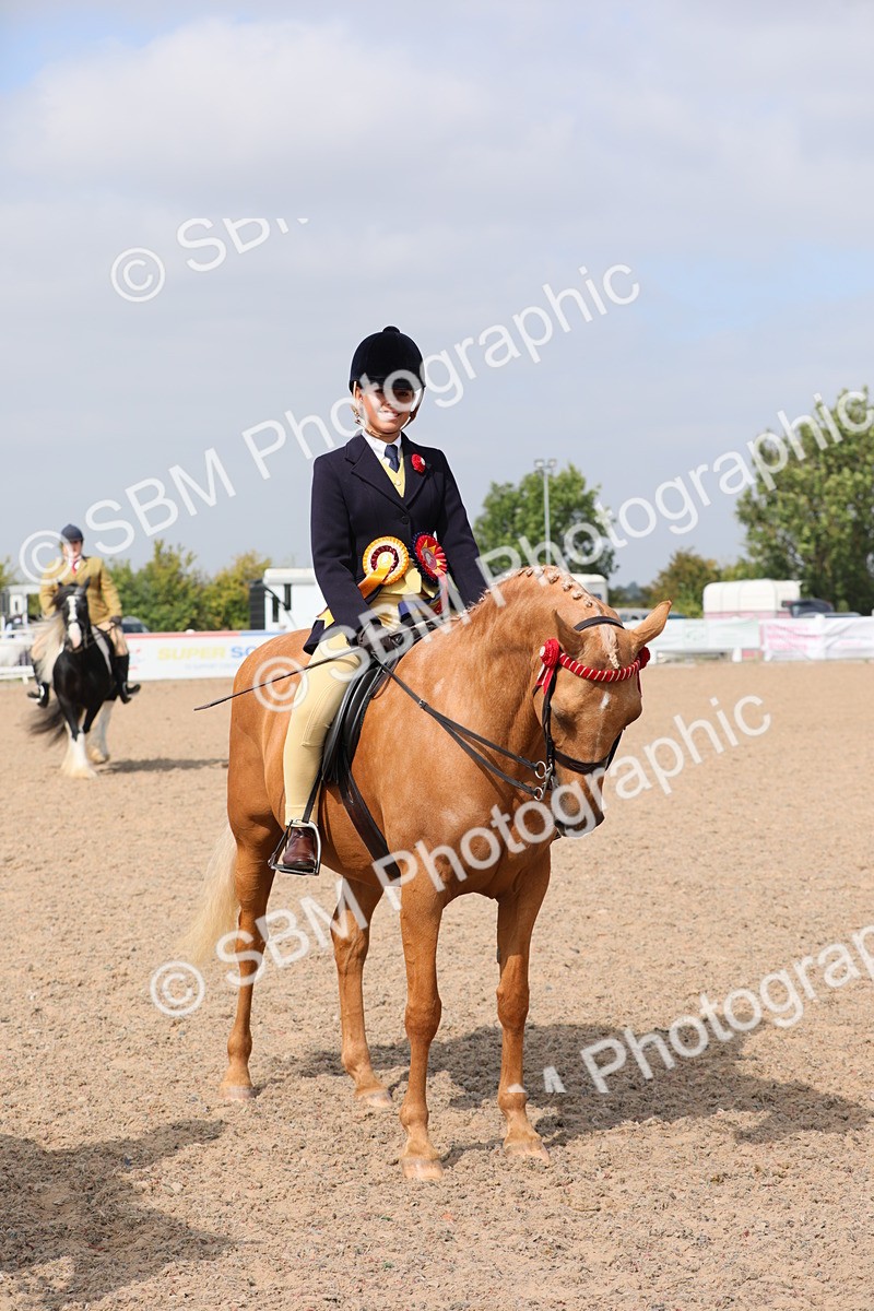 SBM_12857 - Class 307 Ridden Coloured Pony
