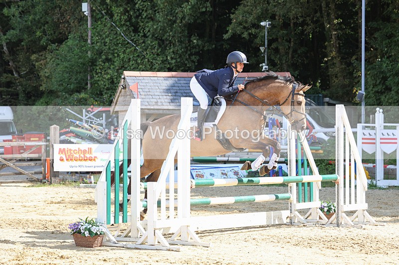 3E7A0740 - Class 4: Senior British Novice/90cm open