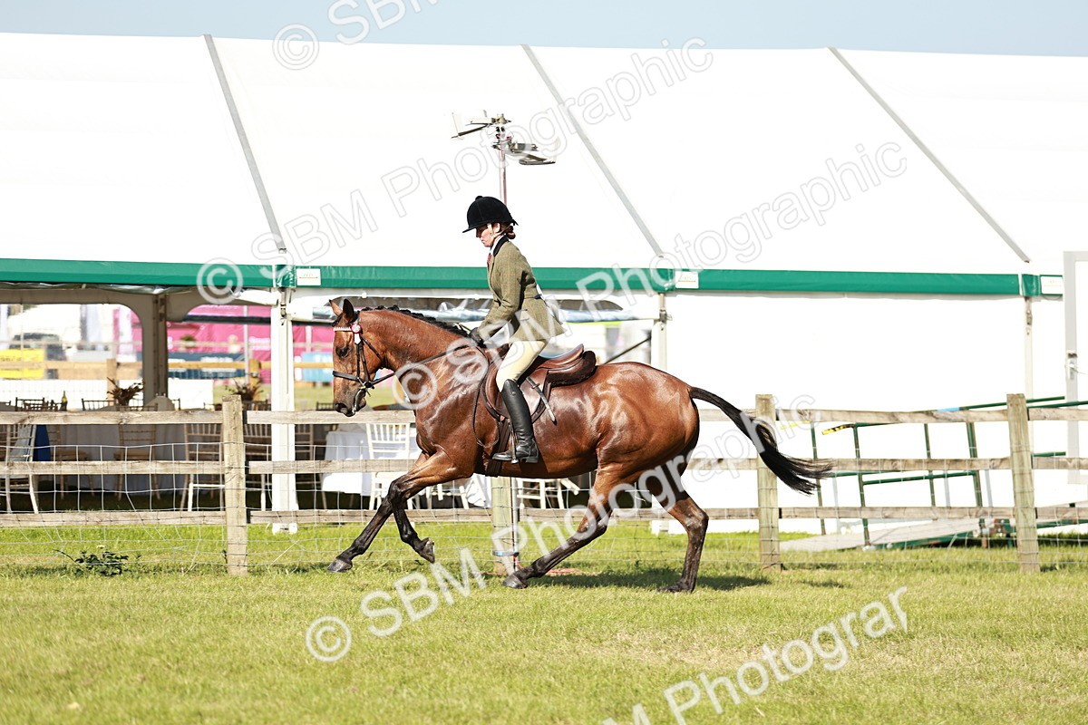 SBM_19251 - Class 115-116 - LIHS BSHA Rising Star Working Hunter & Show Horse