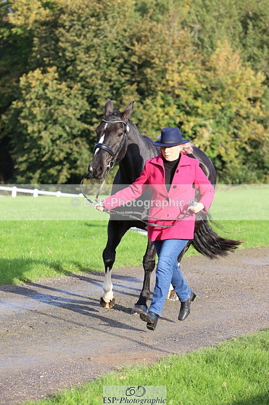 251026A-095342-22560 - D-315-Georgina.Marks