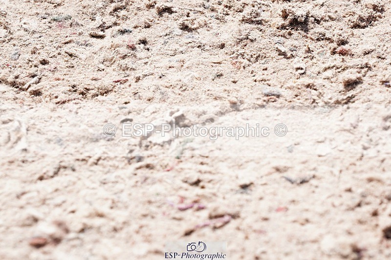 250427-123922-16435 - Cls 20 - 1 Star Silver Tour