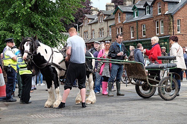  - Appleby Horse Fair