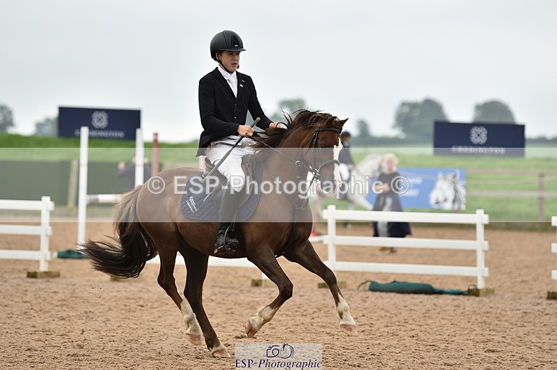 230902A-113900-00784 - Cls 2B Pony Small 80cm