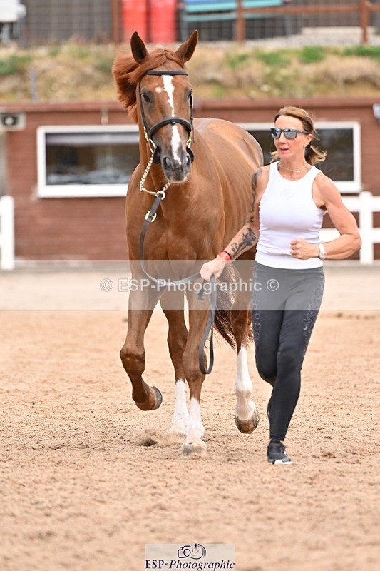 250716-153250-01999 - Trot Up 3.30 to 4.30