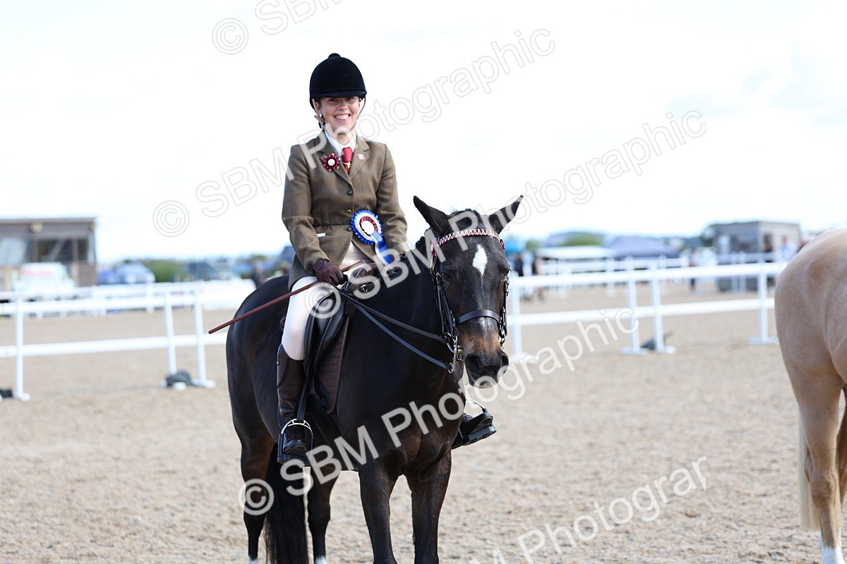 SBM_11248 - Class 306 - Ridden Foreign Breeds - Part Bred