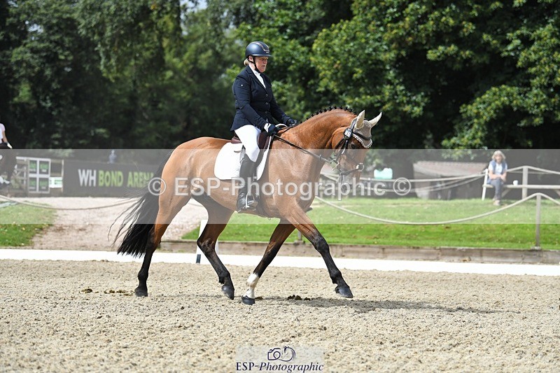 230812-114716-03697 - Cls 6 Novice Silver 10.30 to 11.55 break