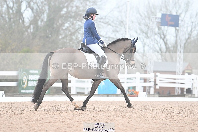 240217A-092940-00366 - 215-Olivia.Luscombe-Caederwin.Lady.Elinor