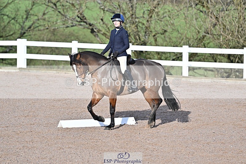 250125-100729-00117 - Dressage - CT Class 4 BE95 (80cm)