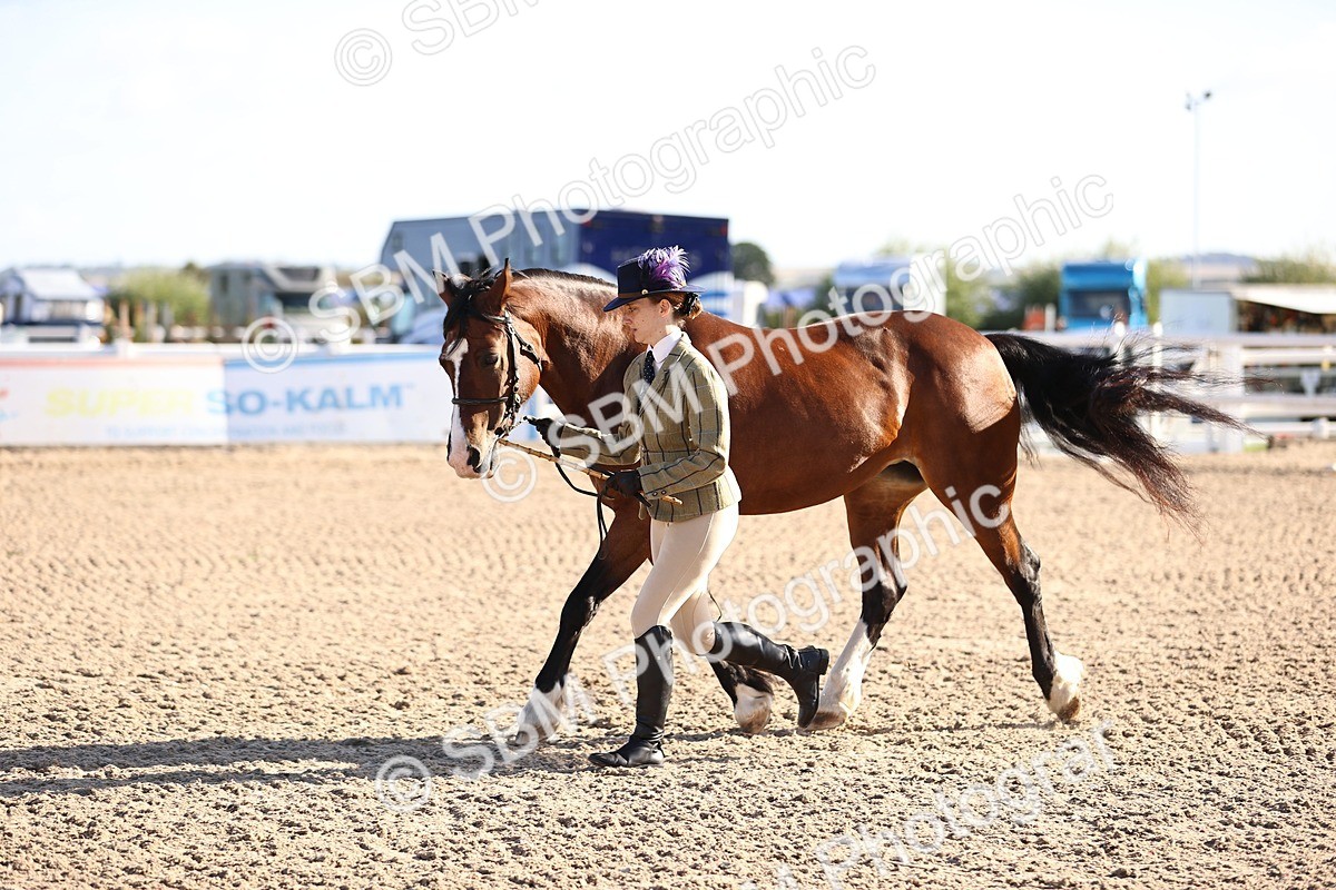 SBM_08490 - Class 402 - IH Veteran Pony