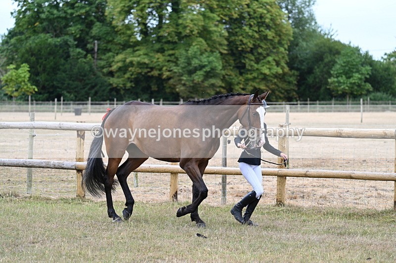 WJ7_8787 - Class 4a Prettiest Mare 14.2hh and over