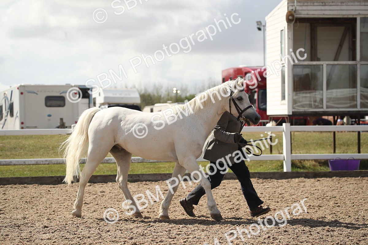 SBM_23531 - Class 605 - 2026 - Area - IH Veteran