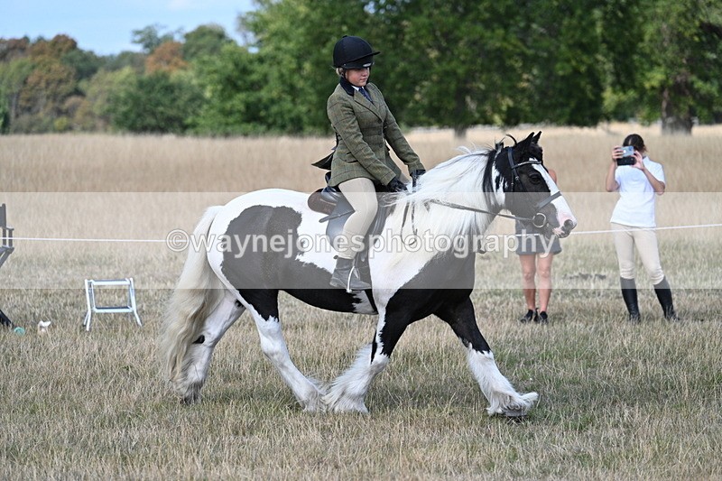 WJ7_6812 - Class 14 Ridden Coloured