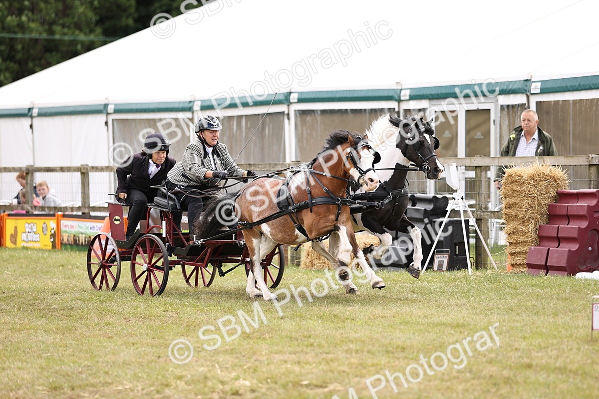 SBM_16027 - Class 91 - Scurry  exceeding 122cms