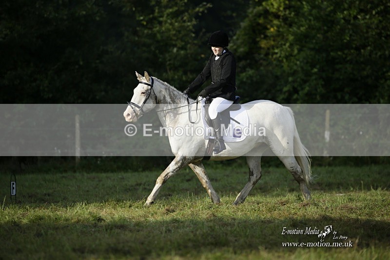 BVRC 120921 27 - Bourne Valley Riding Club UA Dressage & Show Jumping 12/09/21