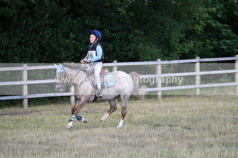 WJ7_0425 - 40cm Time 11:47 to 12:01