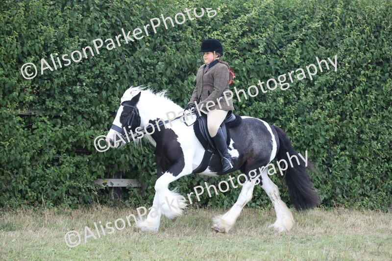 20250831-4267 - Class 20 - Ridden Coloured