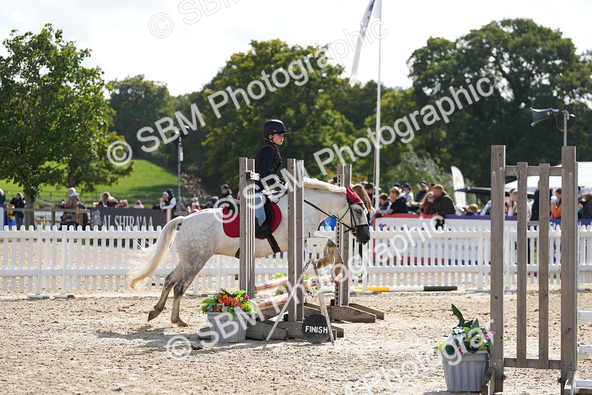 SBM_47004 - J7 - Junior Pony 60cm Championship