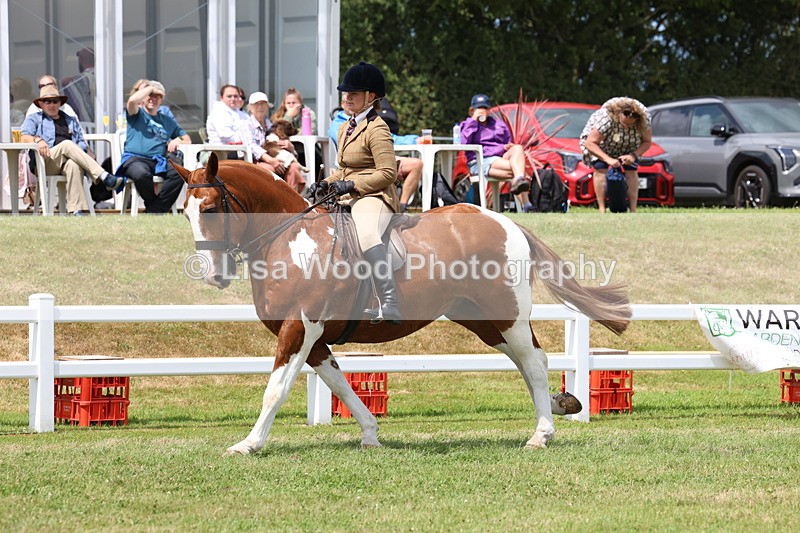 3E7A1993 - Class 10: Open Cob