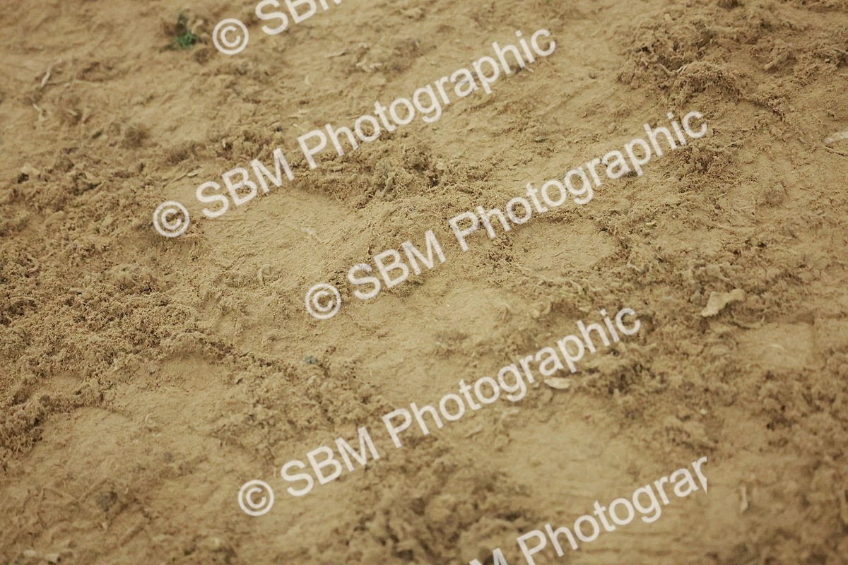 SBM_004983 - Class 6 - Chase Me Charlie