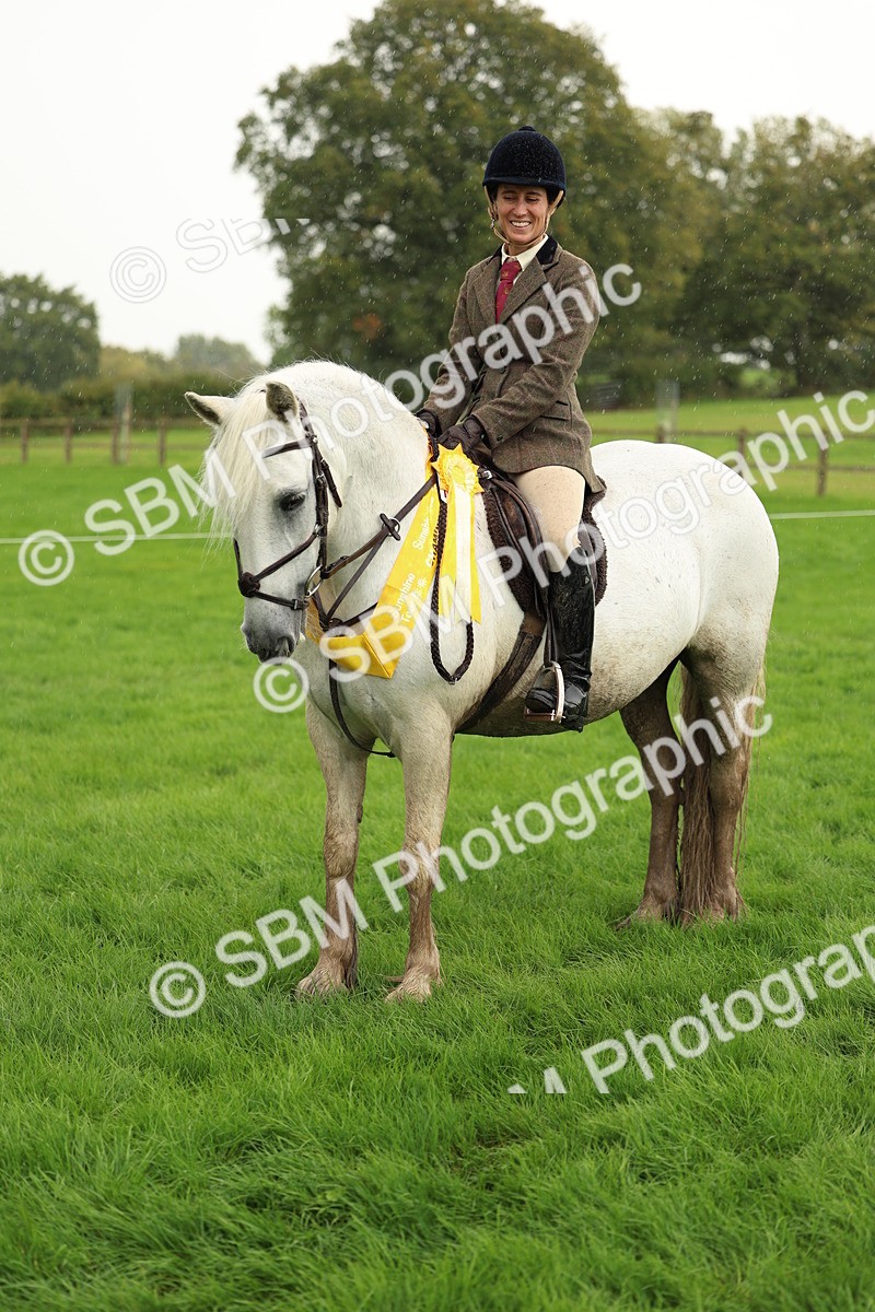 1I0A1514 - S32 - Mountain & Moorland Working Hunter Pony