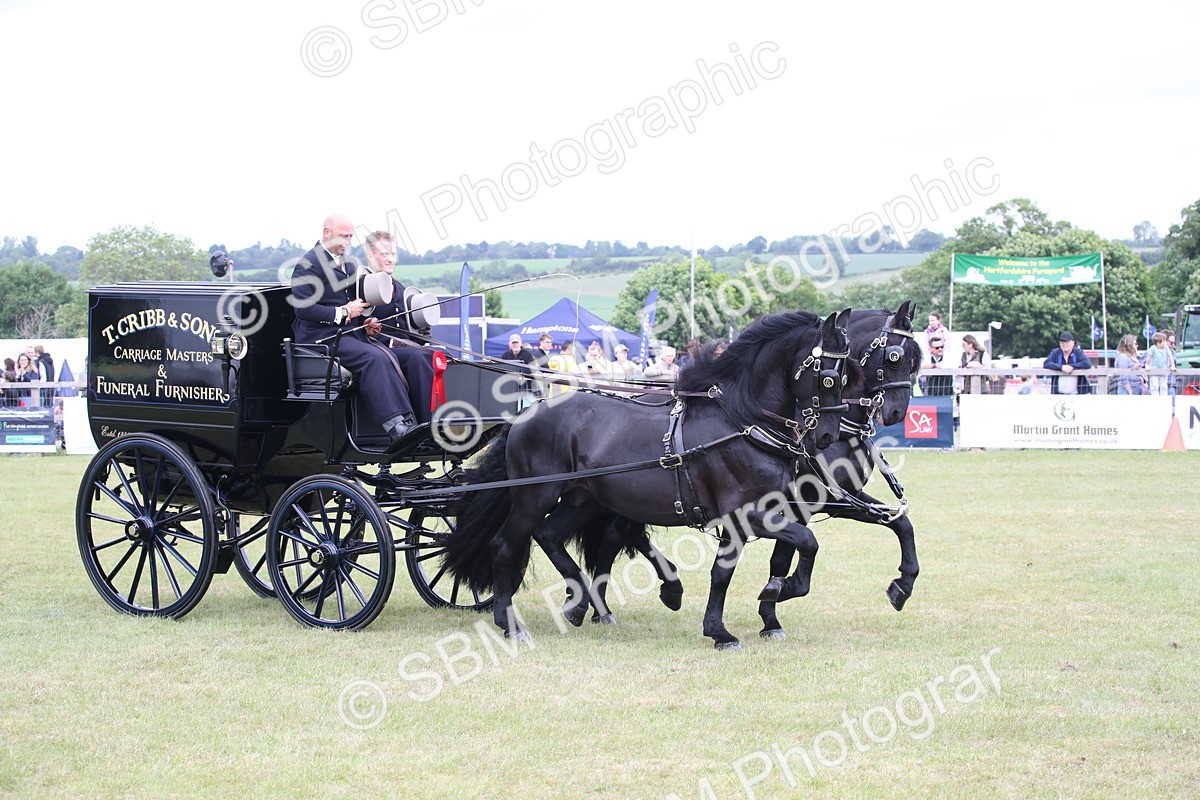 SBM_07079 - Class 16 - Light Trade