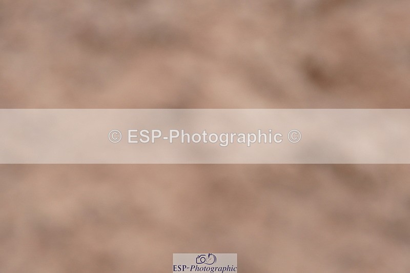 240720A-110516-14267 - Cls 3, 3 Star Small Tour 1.40m