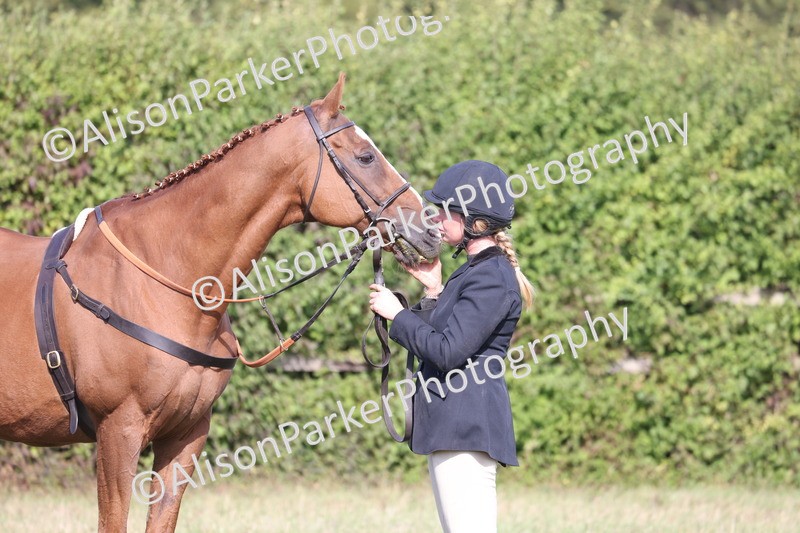 20260906-0685 - Class 22 - Ex Racehorse