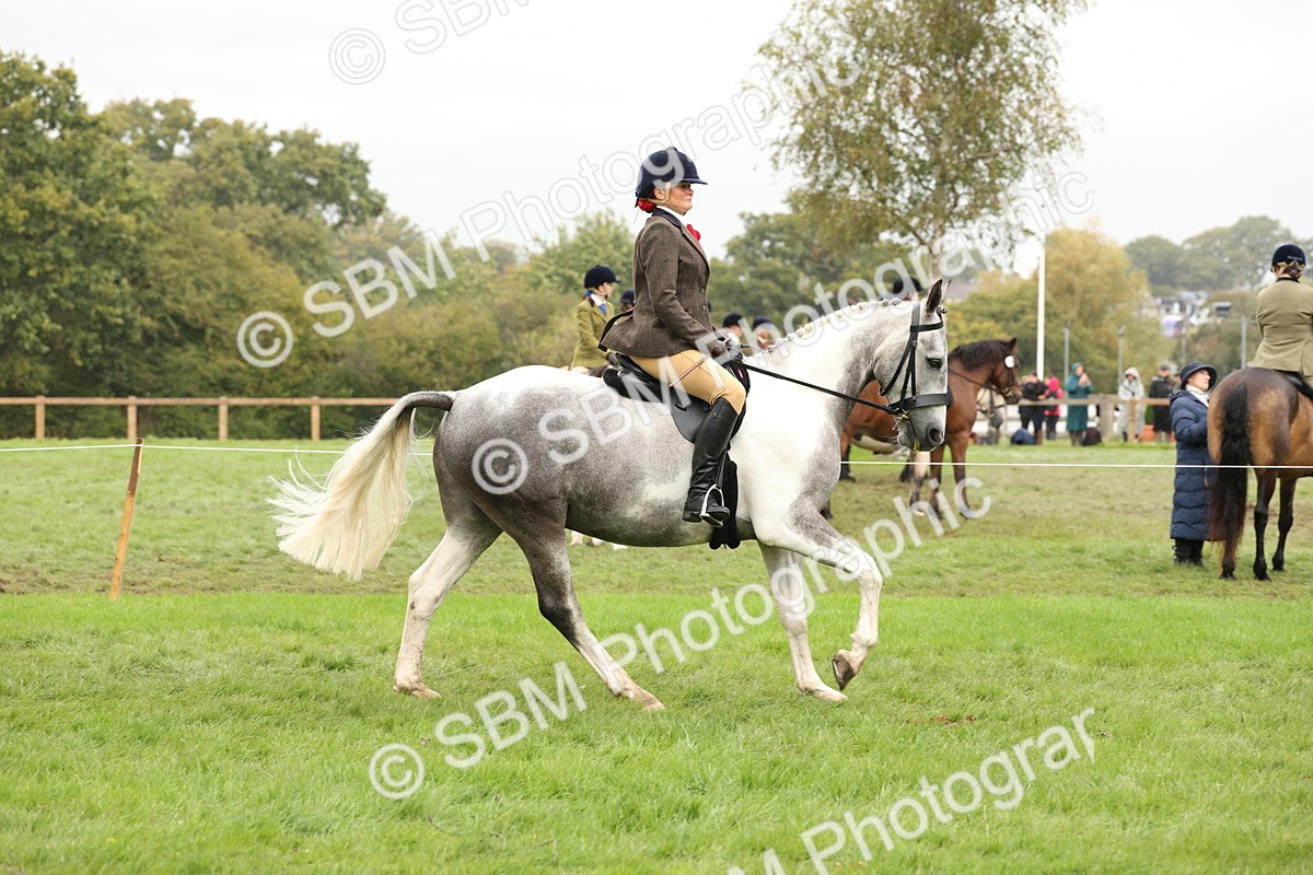 SBM_69887 - S68 - Other Coloured Horse Ridden