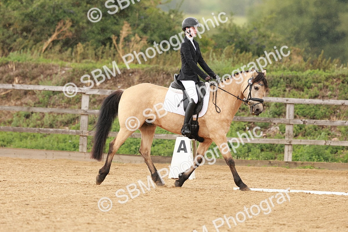 SBM_002882 - Novice 2