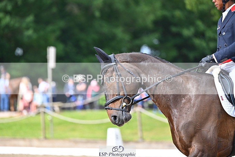 250523A-092725-05229 - C-255-Rupert.Hyde-LEONIDAS.VAN.DE.CRUMELHAEVE